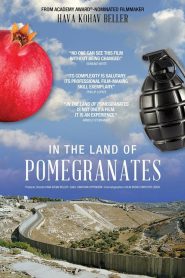 In the Land of Pomegranates