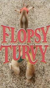 Flopsy Turvy