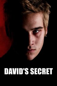David’s Secret