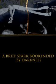 A Brief Spark Bookended by Darkness