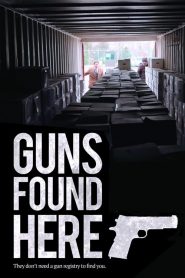 Guns Found Here